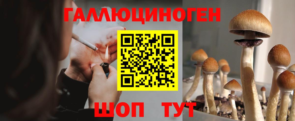 Алапаевск  Псилоцибиновые грибы ЛСД  Вход с VPN 